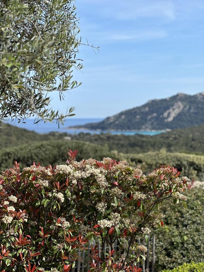 Tres Belle Bergerie Avec Piscine Chauffee A 1 Km De Santa Giulia Villa Porto-Vecchio  Eksteriør bilde